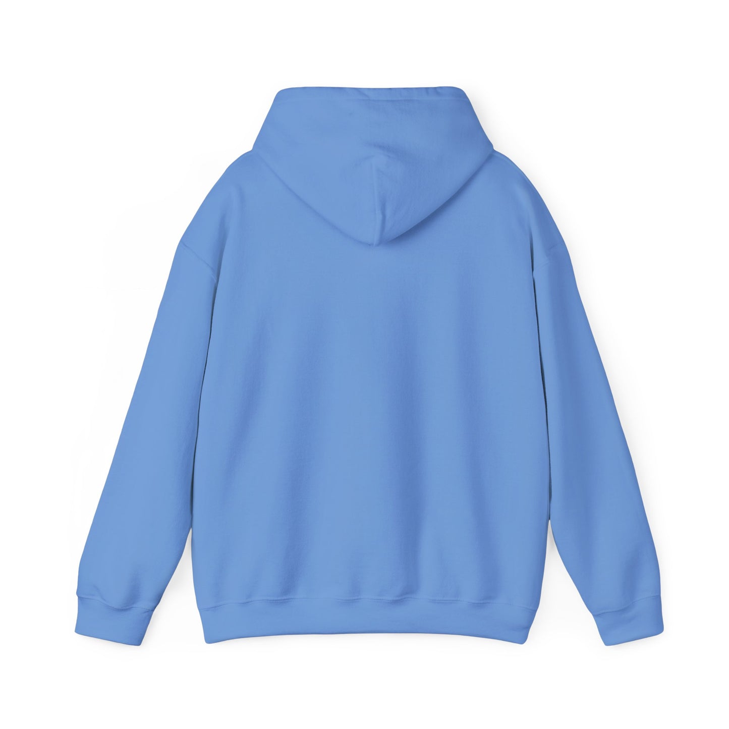 Live & Learn Hoodie